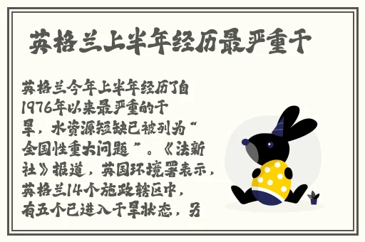 国产麻豆一精品AV一免费软件
